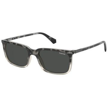 Polaroid PLD 2117/S AB8M9 Sonnenbrille polarized